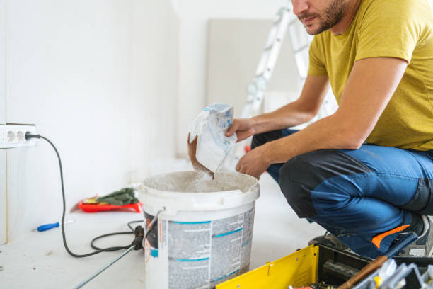 Best Drywall Sanding and Smoothing  in Buenaventura Lakes, FL